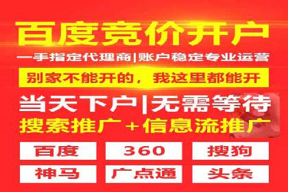 谷歌竞价广告如何提高广告点击率——某公司案例